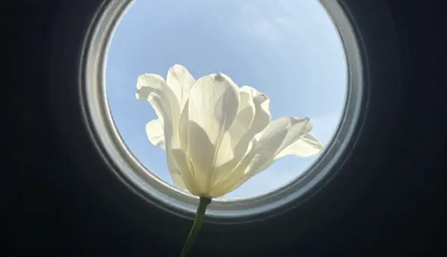 供应链管理：选型关注点与实际应用